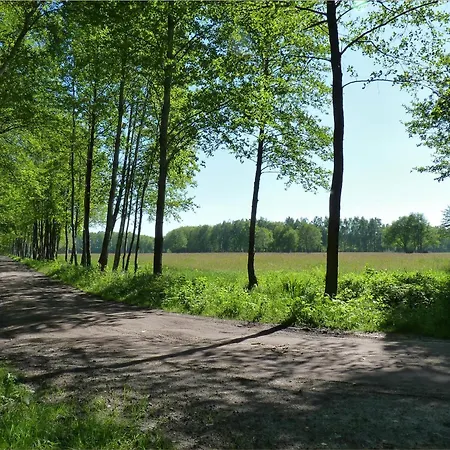 Olé Fh Olé Wiesenblick Heringsdorf (Usedom)