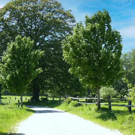 Ole Fh Ole Wiesenblick Apartmán